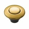 Moen Garbage Disposal Parts & Tools 510 1.81-in Brushed Gold Plastic Garbage Disposal Switch