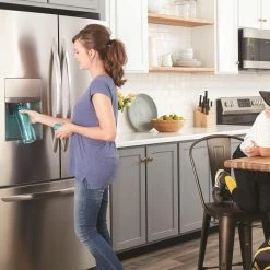 Frigidaire Refrigerator Water Filters PureSource Plus 6-Month Push-In Refrigerator Water Filter -Bosch Sell 43419982